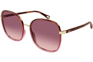 Chloe CH0031S 018 - L (59)