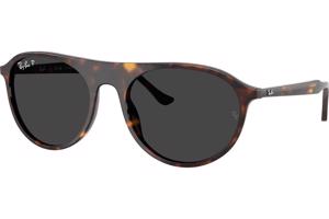 Ray-Ban RB2215 902/48 Polarized - L (59)