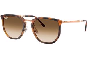 Ray-Ban RB4451 680451 - L (53)